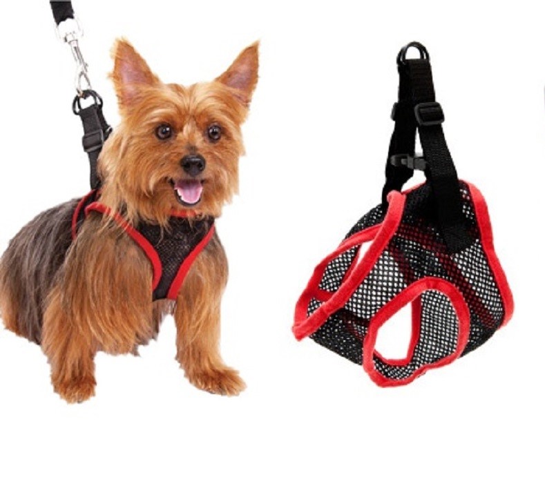 Postroj pro psy se kšíry Comfy Control Harness 2v1 - velikost M