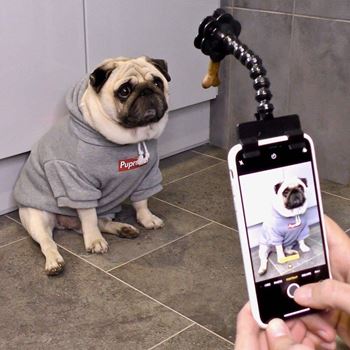 Selfie pomůcka pro focení domácích mazlíčků