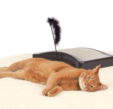 Škrabadlo pro kočky s kartáčem Cat Scratch Post