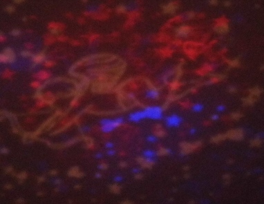 LED projektor a lampička noční oblohy Star Master - modrý