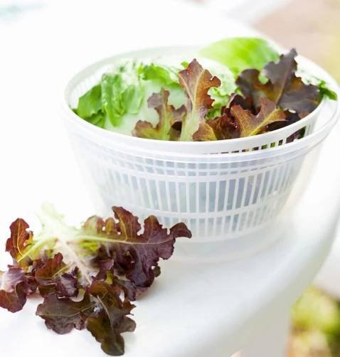 Odstředivka k vysušení a umytí ovoce a zeleniny Salad Spinner 