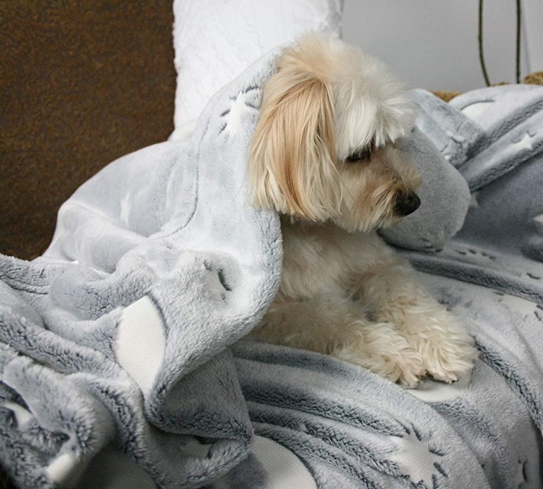 Svítící deka Magic Blanket 160x190cm šedá - měsíc a hvězdy